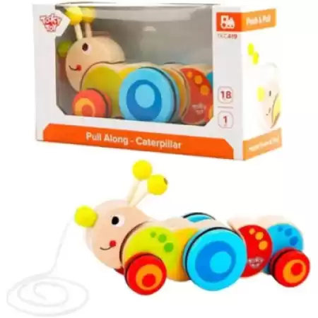 Gusano de madera - De arrastre didáctico Tooky Toy